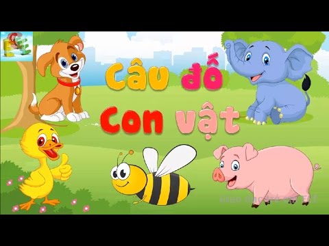 Tổng hợp câu đố dân gian có đáp án - Phần 5