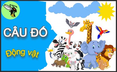 Tổng hợp câu đố dân gian có đáp án - Phần 171