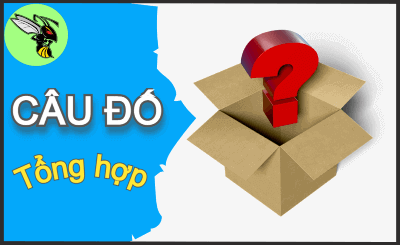 Tổng hợp câu đố dân gian có đáp án - Phần 147