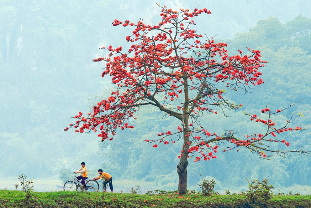 Bao giờ cho đến tháng ba