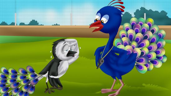 THE JAY AND THE PEACOCK // Chim giẻ cùi và con công