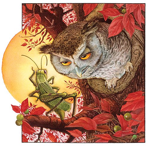 THE OWL AND THE GRASSHOPPER // CHIM CÚ VÀ CHÂU CHẤU
