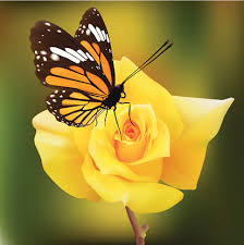 The Rose and the Butterfly // Hoa Hồng và Con Bướm