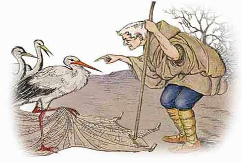The farmer and the stork - Bác nông dân và con cò