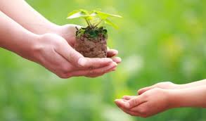 TIS BETTER TO GIVE Cho đi là điều tốt cần làm